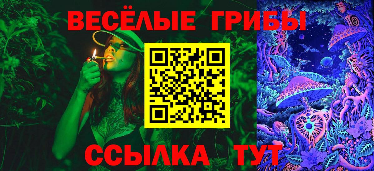 Псилоцибиновые грибы GOLDEN TEACHER  Вход с VPN  Дубна 
